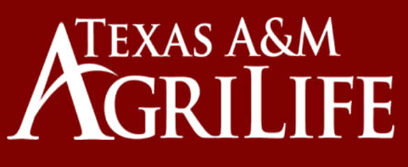 Postdoctoral Research Associate, Agricultural Economics, Texas A&M AgriLife Agencies and Colleges, USA