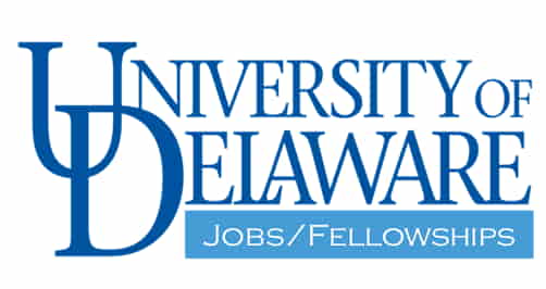 Research Associate III, Center for Plastics Innovation, University of Delaware, Newark, USA