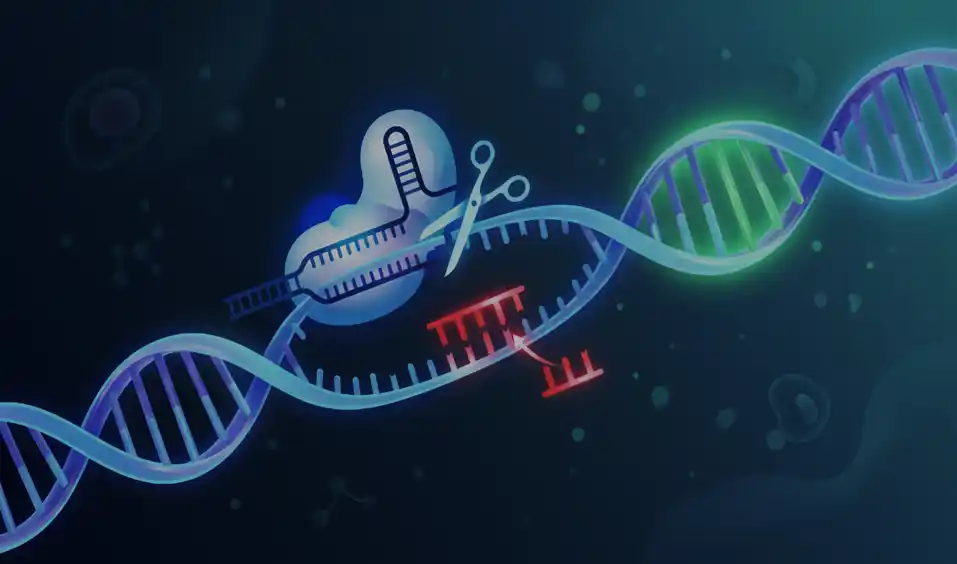 Could CRISPR rewrite life’s instruction book and transform future disease treatment?