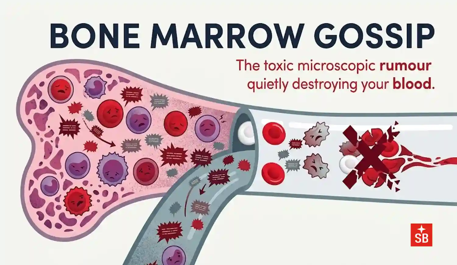 Bone marrow gossip: The toxic microscopic rumour quietly destroying your blood