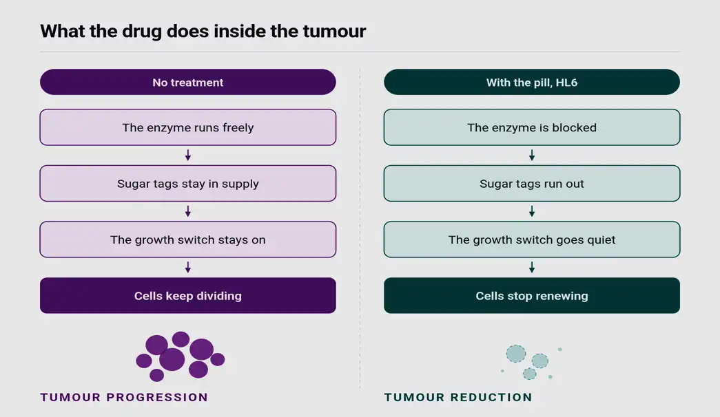 Starve the sugar, stop the tumour